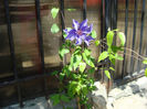 DSC00420