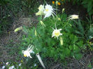 DSCF0543