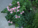 DSCF0545