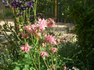 DSCF0550