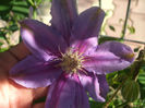 DSCF0531