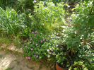 DSCF0566