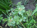 DSCF0572