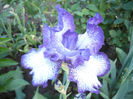 P1050758