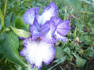 P1050760