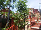 DSCN8567_4032