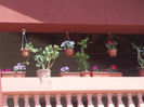 DSCN8532_3997