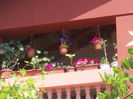 DSCN8534_3999
