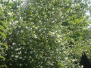 DSCN8541_4006