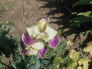 DSCN8543_4008