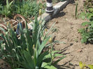 DSCN8548_4013