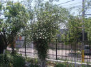DSCN8549_4014