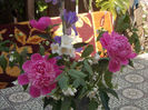 DSCN8556_4021