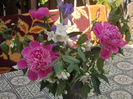DSCN8557_4022