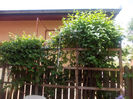 DSCN8558_4023