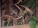 DSCN8508_3973