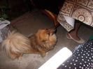 DSCN8512_3977