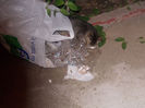 DSCN8514_3979
