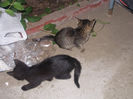 DSCN8516_3981
