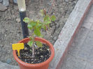 DSCN8493_3958