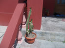 DSCN8526_3991