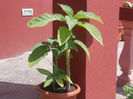 DSCN8527_3992