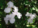 DSC04405