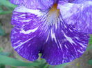 DSCN3049