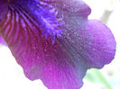 DSCN3050