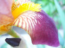 DSCN3052