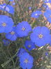 2013-05-06 08.44.47