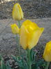 2013-05-04 08.30.26