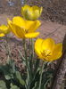 2013-05-03 10.49.41