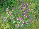 P1010460