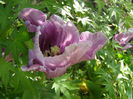 P1017998