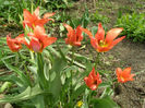 P1017942