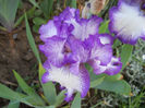 DSCN4436