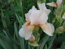 DSCN4439