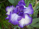 DSCN4444