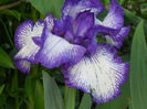DSCN4451