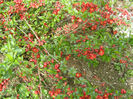 P1017935