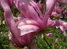 P1017957