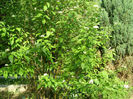 P1018006