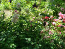 P1018016