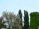 DSCN8357