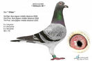 chihaut%2098