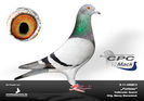 CPC%20Furioso%20klein