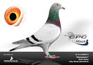 CPC%20Zampano%20klein