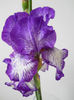 DSCN4464
