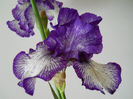 DSCN4467